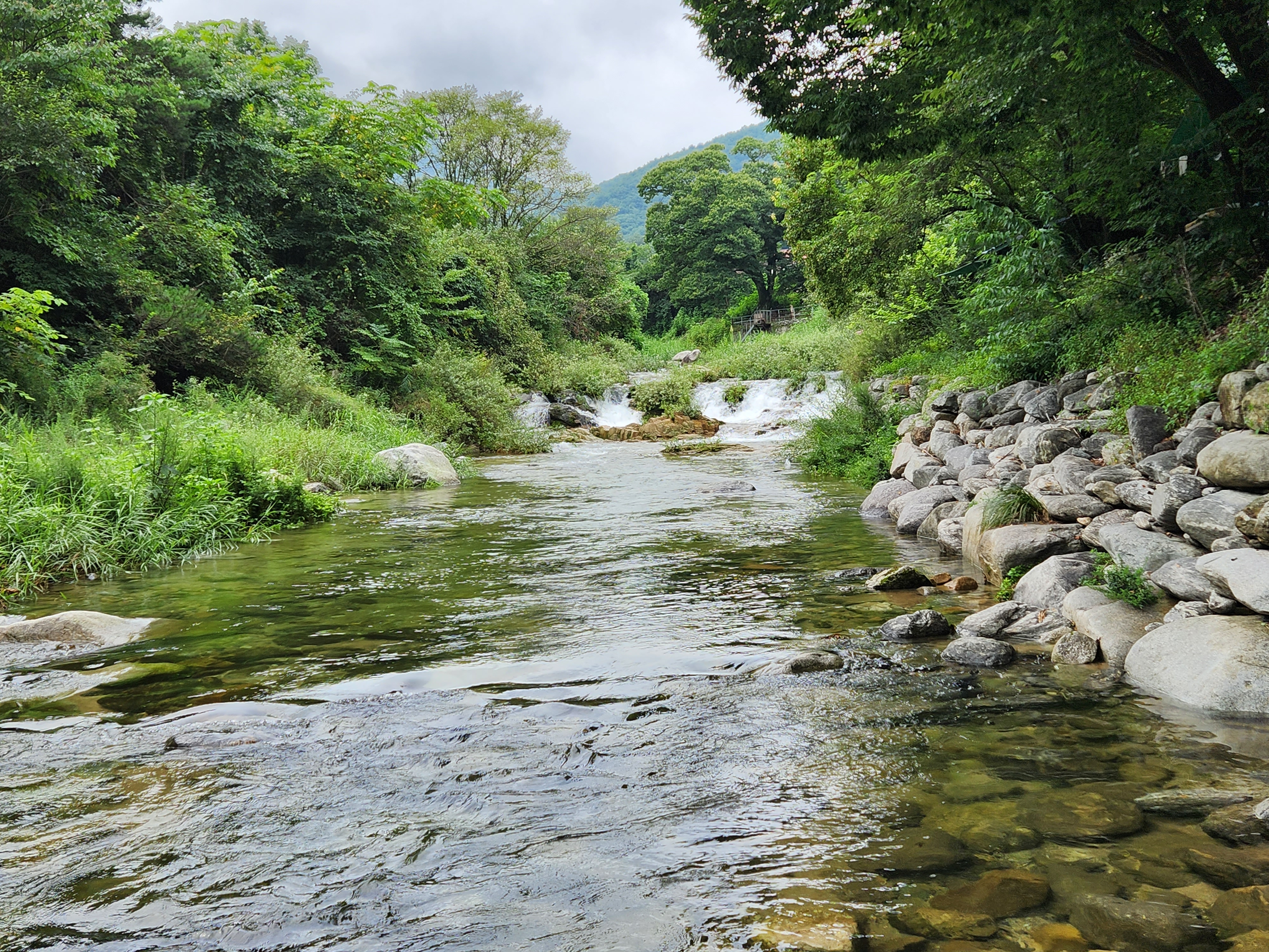 20230813_120105.jpg
