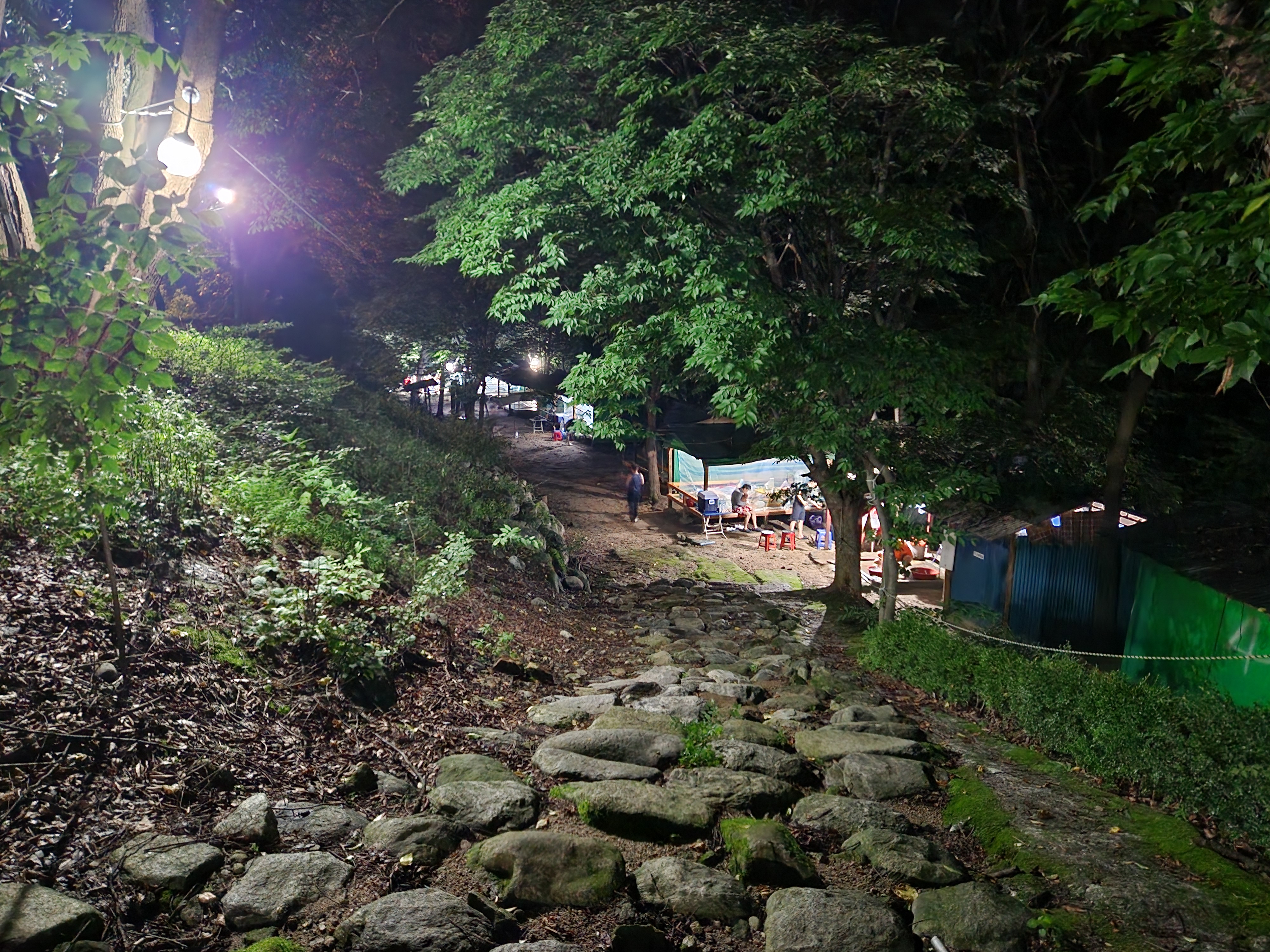 20230729_204131.jpg